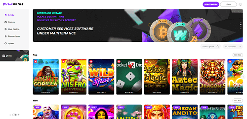 Top Wild Coins Casino Review