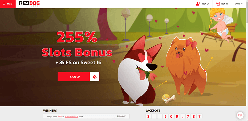 Trusted Red Dog Casino Review